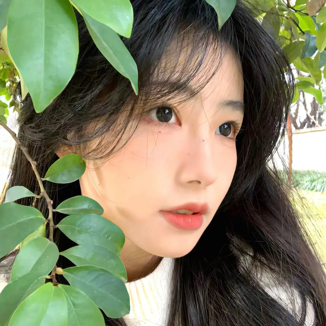 李知凡太太